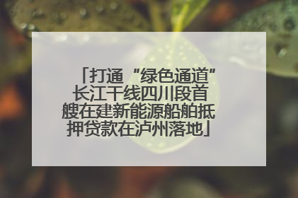 打通“绿色通道” 长江干线四川段首艘在建新能源船舶抵押贷款在泸州落地