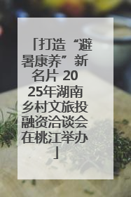 打造“避暑康养”新名片 2025年湖南乡村文旅投融资洽谈会在桃江举办