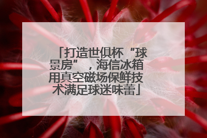 打造世俱杯“球景房”，海信冰箱用真空磁场保鲜技术满足球迷味蕾