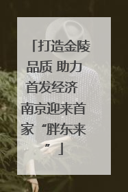 打造金陵品质 助力首发经济 南京迎来首家“胖东来”