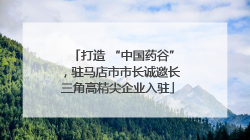 打造 “中国药谷”，驻马店市市长诚邀长三角高精尖企业入驻