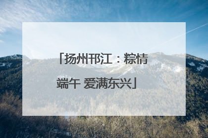 扬州邗江：粽情端午 爱满东兴
