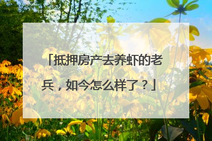 抵押房产去养虾的老兵，如今怎么样了？