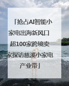 抢占AI智能小家电出海新风口 超100家跨境卖家探访慈溪小家电产业带