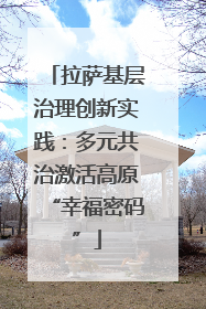 拉萨基层治理创新实践：多元共治激活高原“幸福密码”