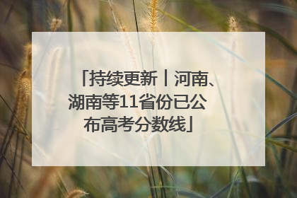 持续更新︱河南、湖南等11省份已公布高考分数线