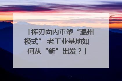 挥刃向内重塑“温州模式” 老工业基地如何从“新”出发？