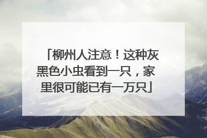 柳州人注意！这种灰黑色小虫看到一只，家里很可能已有一万只