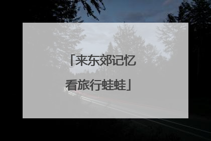 来东郊记忆 看旅行蛙蛙