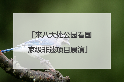 来八大处公园看国家级非遗项目展演