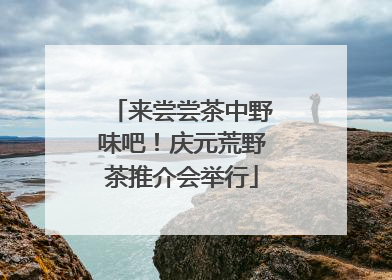 来尝尝茶中野味吧！庆元荒野茶推介会举行