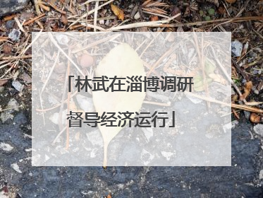林武在淄博调研督导经济运行