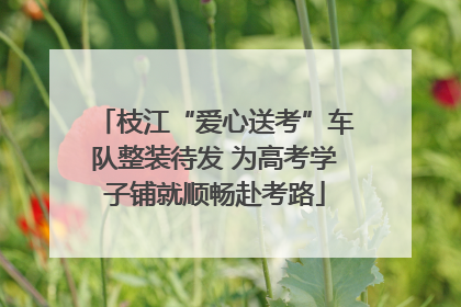枝江“爱心送考”车队整装待发 为高考学子铺就顺畅赴考路