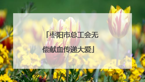 枣阳市总工会无偿献血传递大爱