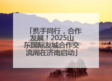携手同行，合作发展！2025山东国际友城合作交流周在济南启动