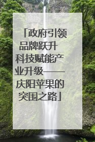 政府引领品牌跃升 科技赋能产业升级——庆阳苹果的突围之路