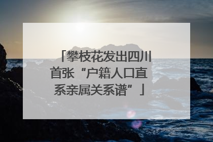 攀枝花发出四川首张“户籍人口直系亲属关系谱”