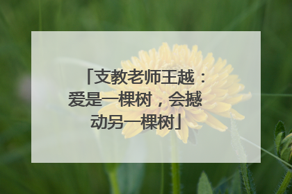 支教老师王越：爱是一棵树，会撼动另一棵树