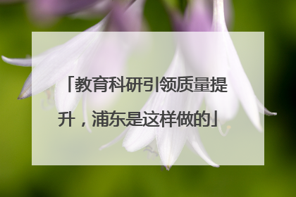 教育科研引领质量提升，浦东是这样做的