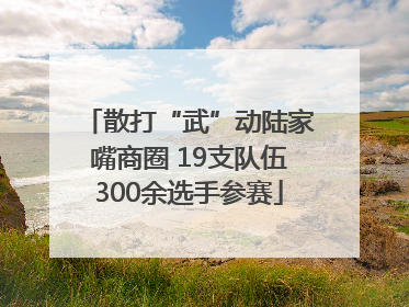 散打“武”动陆家嘴商圈 19支队伍300余选手参赛