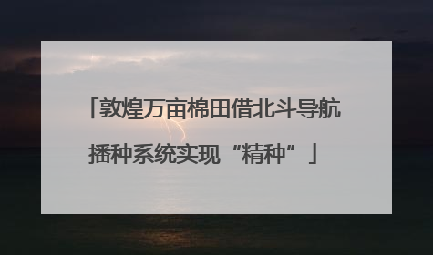 敦煌万亩棉田借北斗导航播种系统实现“精种”