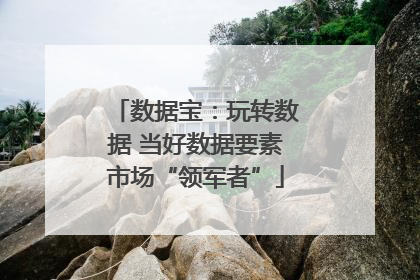 数据宝：玩转数据 当好数据要素市场“领军者”