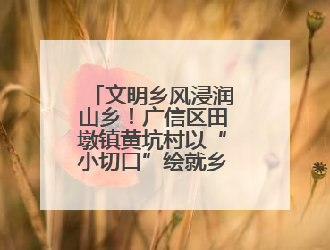 文明乡风浸润山乡！广信区田墩镇黄坑村以“小切口”绘就乡村振兴大图景