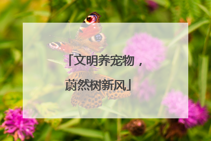文明养宠物，蔚然树新风