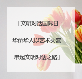 文明对话国际日：华侨华人以艺术交流串起文明对话之路
