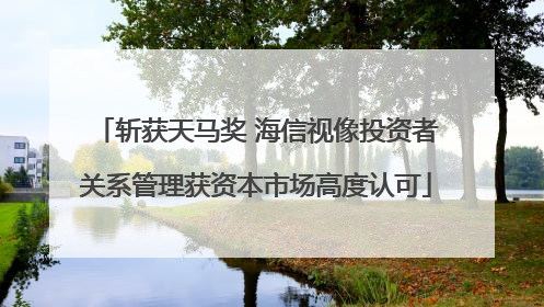 斩获天马奖 海信视像投资者关系管理获资本市场高度认可