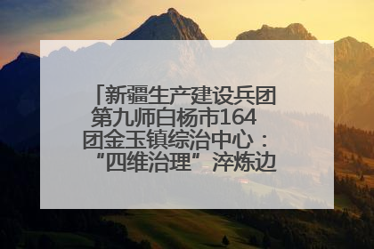 新疆生产建设兵团第九师白杨市164团金玉镇综治中心：“四维治理”淬炼边疆“枫桥样本”