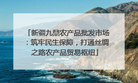 新疆九鼎农产品批发市场：筑牢民生保障，打通丝绸之路农产品贸易枢纽