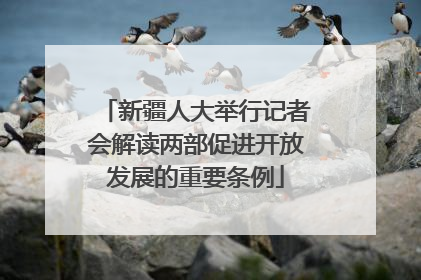 新疆人大举行记者会解读两部促进开放发展的重要条例