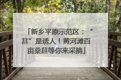 新乡平原示范区：“葚”是诱人！黄河滩百亩桑葚等你来采摘