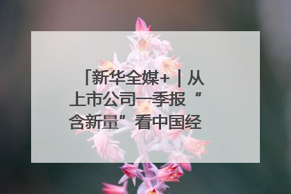 新华全媒+｜从上市公司一季报“含新量”看中国经济发展向“新”