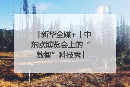 新华全媒+丨中东欧博览会上的“数智”科技秀