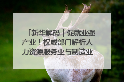 新华解码｜促就业强产业！权威部门解析人力资源服务业与制造业融合发展试点