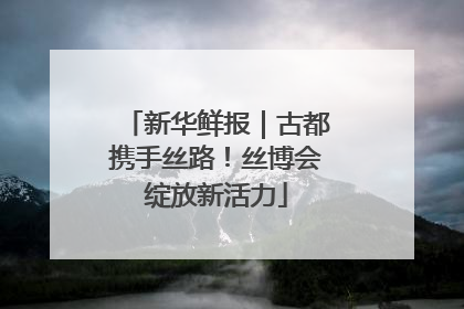 新华鲜报｜古都携手丝路！丝博会绽放新活力