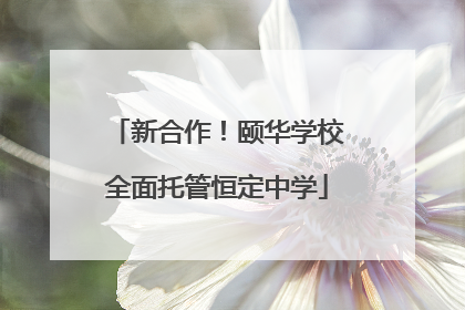 新合作！颐华学校全面托管恒定中学