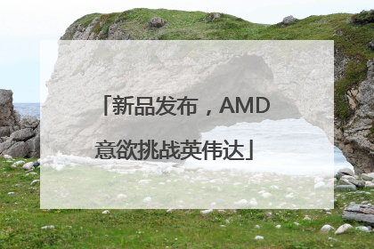 新品发布，AMD意欲挑战英伟达