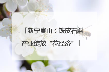 新宁崀山：铁皮石斛产业绽放“花经济”