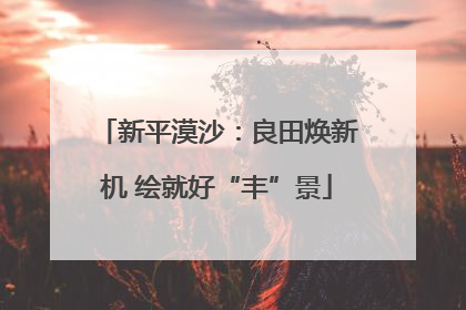 新平漠沙：良田焕新机 绘就好“丰”景