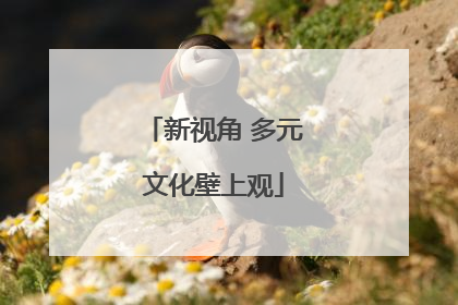 新视角 多元文化壁上观