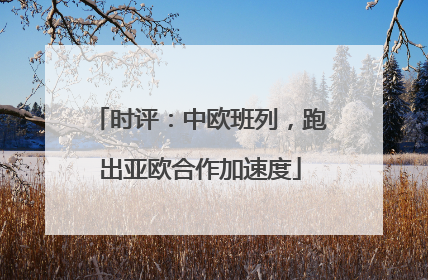 时评：中欧班列，跑出亚欧合作加速度