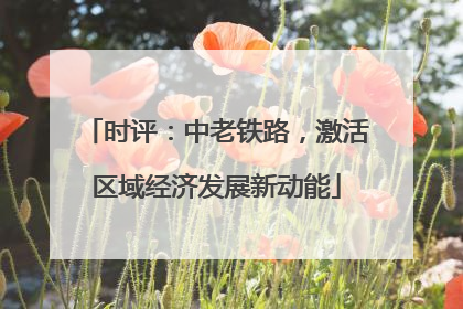 时评：中老铁路，激活区域经济发展新动能