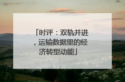 时评：双轨并进，运输数据里的经济转型动能