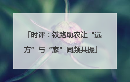 时评：铁路助农让“远方”与“家”同频共振