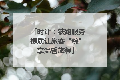 时评：铁路服务提质让旅客“粽”享温馨旅程