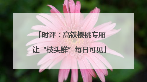 时评：高铁樱桃专厢 让“枝头鲜”每日可见