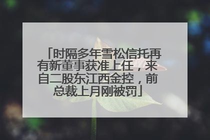 时隔多年雪松信托再有新董事获准上任，来自二股东江西金控，前总裁上月刚被罚